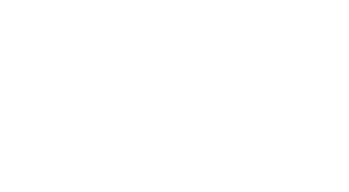 bfi